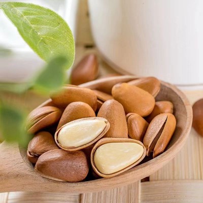 新货东北松子500g散装大颗粒2023开口松子干果罐装批发坚果小零食图2