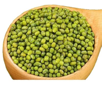代发新货东北农家绿豆解暑绿豆汤笨绿豆发豆芽绿豆糕杂粮5斤绿豆图5