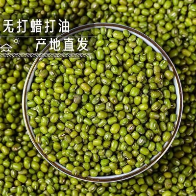 代发新货东北农家绿豆解暑绿豆汤笨绿豆发豆芽绿豆糕杂粮5斤绿豆图2