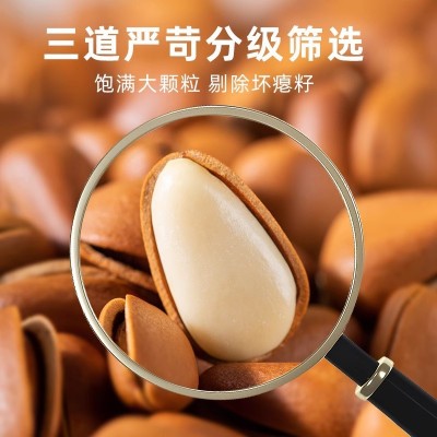 代发东北松子500g净重散装坚果零食干果批发年货手剥开口红大粒图3