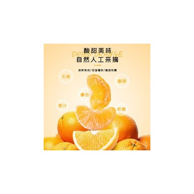 果脯桔子干橘子片蜜橘干片蜜桔丑橘金桔金橘蜜饯果干小零食干果图2