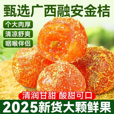 甘草金桔特产止润蜜饯果脯喉咳橘子干好吃特价批发零售