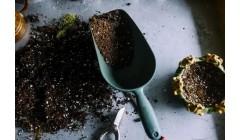 当农业装上最强大脑：物联网如何重塑中国设施农业