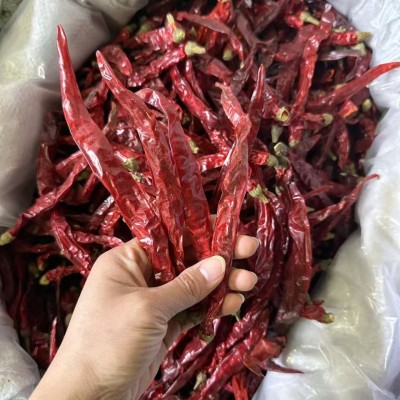 贵州 二荆条 干辣椒 中辣 香辣型 波辣子油 辣椒油饺子辣椒酱现货图2