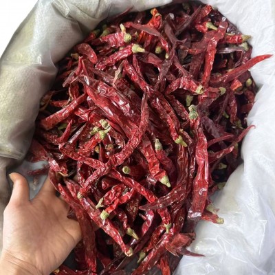 贵州 二荆条 干辣椒 中辣 香辣型 波辣子油 辣椒油饺子辣椒酱现货图5