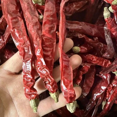贵州 二荆条 干辣椒 中辣 香辣型 波辣子油 辣椒油饺子辣椒酱现货图3