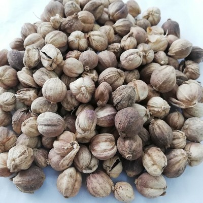 厂家现货广西白蔻火锅底料调料批发家用炖肉卤料调味品增香调料品图2