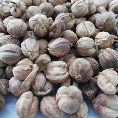 厂家现货广西白蔻火锅底料调料批发家用炖肉卤料调味品增香调料品图4