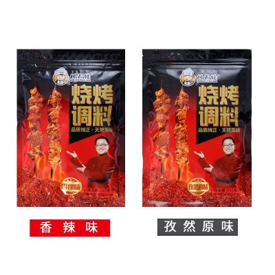 烧烤料250克东北香辣烤肉蘸料袋装烧烤料撒料孜然烧烤料家用图4