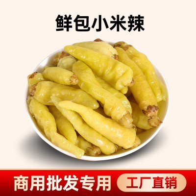 泡椒小米辣商用野山椒剁椒泡椒凤爪调料泡菜母水商用
