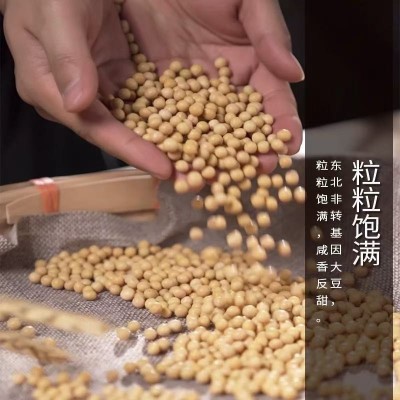 礼盒装彭春海特香白豉酱油源汁 过节送人礼品手信揭阳正宗传统酿图4