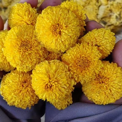 批发优质桃菊球菊花黄菊花花茶原料供应芳苑源头直供花茶茶叶批发图2