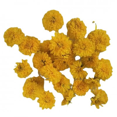 批发优质桃菊球菊花黄菊花花茶原料供应芳苑源头直供花茶茶叶批发图5