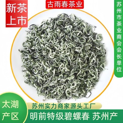 碧螺春茶叶批发明前特级2026新茶绿茶散装源头厂家送长辈明前茶A4图3