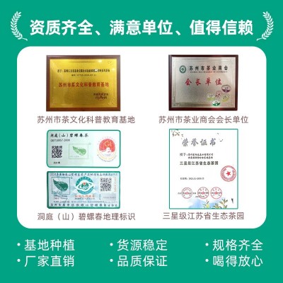 碧螺春茶叶批发明前特级2026新茶绿茶散装源头厂家送长辈明前茶A4图4