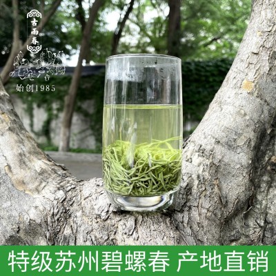 碧螺春茶叶批发苏州2026新茶绿茶散装源头产家自己喝明前特级A2图2