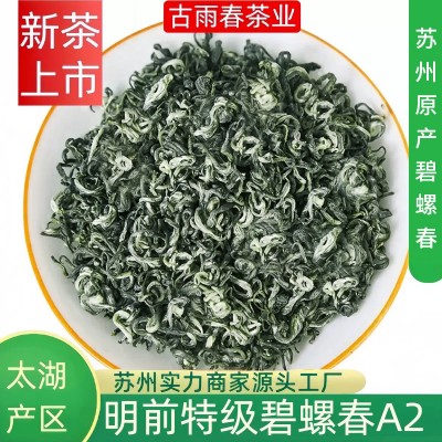 碧螺春茶叶批发苏州2026新茶绿茶散装源头产家自己喝明前特级A2图3