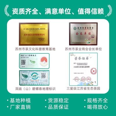 碧螺春茶叶批发苏州2026新茶绿茶散装源头产家自己喝明前特级A2图4