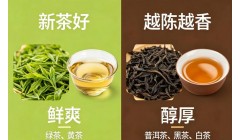 茶叶越贵越好吗?选茶有哪些原则?