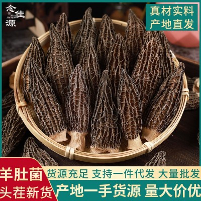 2023羊肚菌干货500g头茬新鲜精品菌菇煲汤食材头茬剪柄云南特产