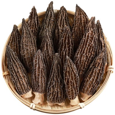 2023羊肚菌干货500g头茬新鲜精品菌菇煲汤食材头茬剪柄云南特产图4