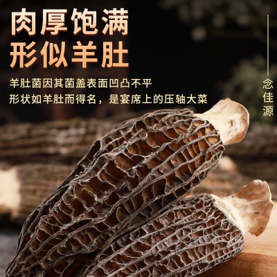 2023羊肚菌干货500g头茬新鲜精品菌菇煲汤食材头茬剪柄云南特产图3