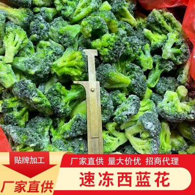 冷冻西蓝花 速冻西蓝花 团餐 速食酒店 大批量供货