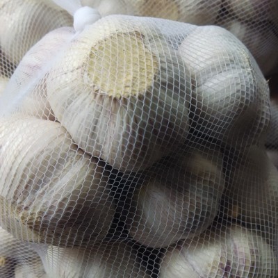大量提供大蒜 厂家直销 欢迎前来询价 价格优惠