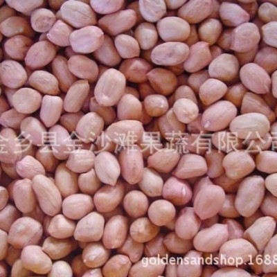 常年供应花生米 批发花生米 长期供应 价格优惠