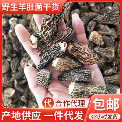 野生羊肚菌干货云南野生菌食用菌蘑菇菌类煲汤食材