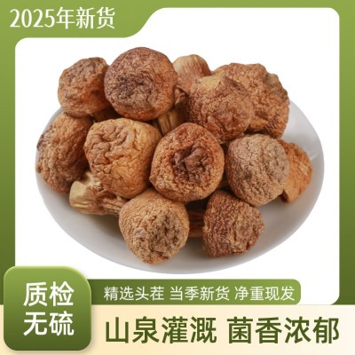 姬松茸干货云南特产精选特级姬松茸野生菌松茸菇500克批发