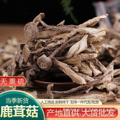 云南特产鹿茸菇干货厂家批发鹿茸菌干货酒店火锅店食材 产地货源