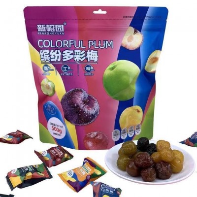 新榕园缤纷彩虹梅加州西梅青口梅杨梅蓝莓蜜饯梅子果干零食组合装
