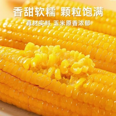 正宗东北黄糯玉米粗粮代餐新鲜黄玉米早餐甜糯玉米棒真空包装整箱