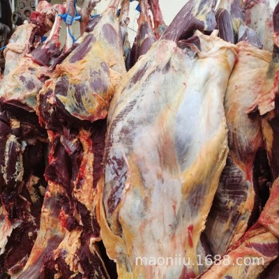 青海牦牛肉 青藏高原牦牛肉价格 西藏牦牛肉 新鲜现宰牦牛肉批发