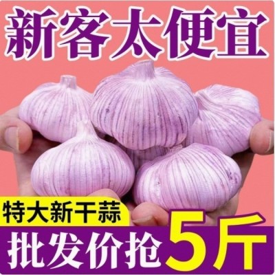 批发紫皮大蒜山东大蒜农家自种山东产地厘米蒜王5斤/9斤鲜蒜大蒜
