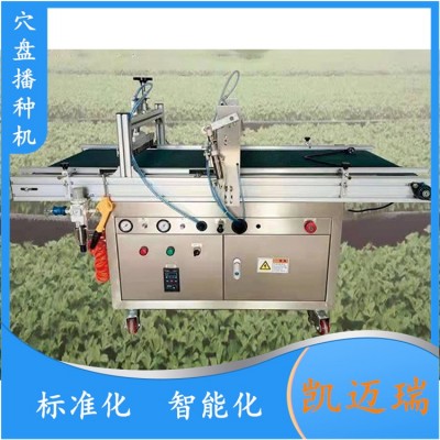 全自动穴盘育苗播种机 播种盘自动型育苗机蔬菜育苗种植机