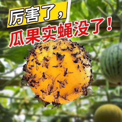 果园用粘虫球果蝇诱蝇球黄色绿色诱虫球粘虫板实蝇诱蝇球整箱批发