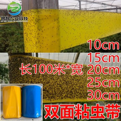 粘虫带大棚黄色粘小黑飞蓝色黏蓟马白粉虱茶园果园蔬菜双面批发