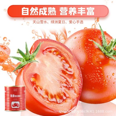 新康新疆西红柿块760g/罐 番茄丁0添加剂去皮西红柿酱餐厅用