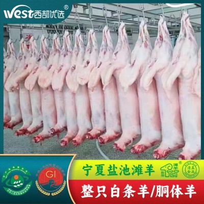商用批发宁夏盐池滩羊绵羊胴体白条羊-清真 火锅食材烧烤食材厂家