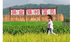 四川采取针对性举措扬优势补短板强弱项推动农业增效益农村增活力农民增收入