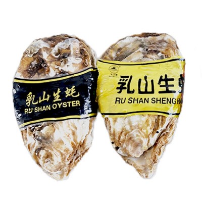 全年乳山生蚝批发6两50斤箱1件供货鲜活海鲜水产海蛎子带壳