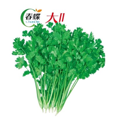 蔬菜种子四季播盆栽阳台庭院辣椒甜瓜黄瓜秋易种籽孑易活小香葱