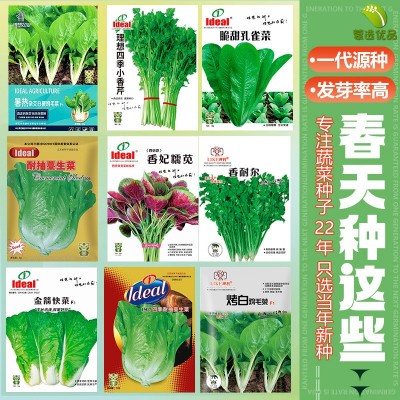 批发奶油草莓种子菜籽家用阳台种植四季草莓菜籽盆栽蔬菜新鲜种菜