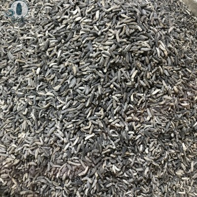 一手批发小明秃参秃参沙秃参500头海参批发电商礼盒包装零售专供