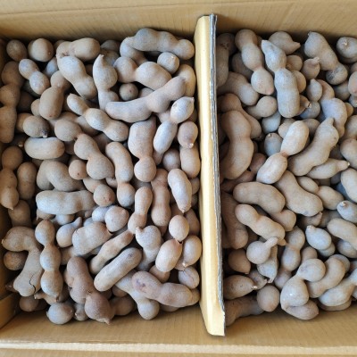 批发20斤新鲜带壳水果甜角爱情果甜酸角果蜜饯零食罗望子电商直发