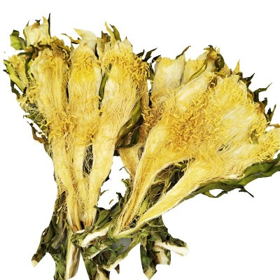 霸王花干货批发新鲜剑花干货新货鲜霸王花干花煲汤料地摊货源